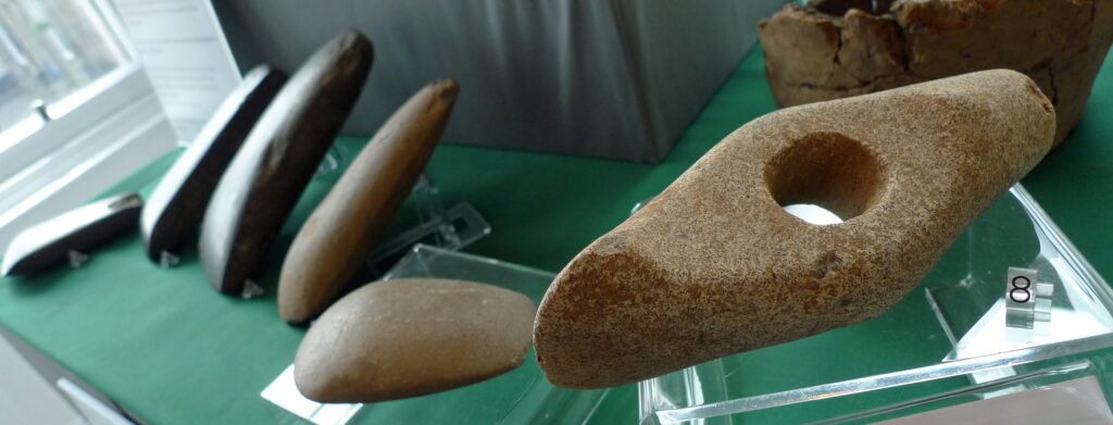 Neolithic axe heads made of stone on display in a museum.