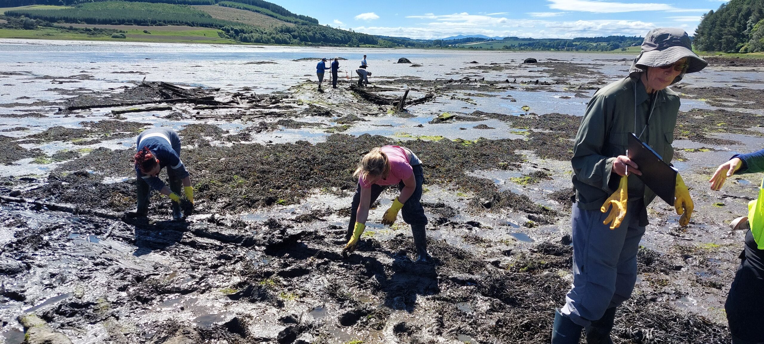 Committee Blog: Kirsty Owen