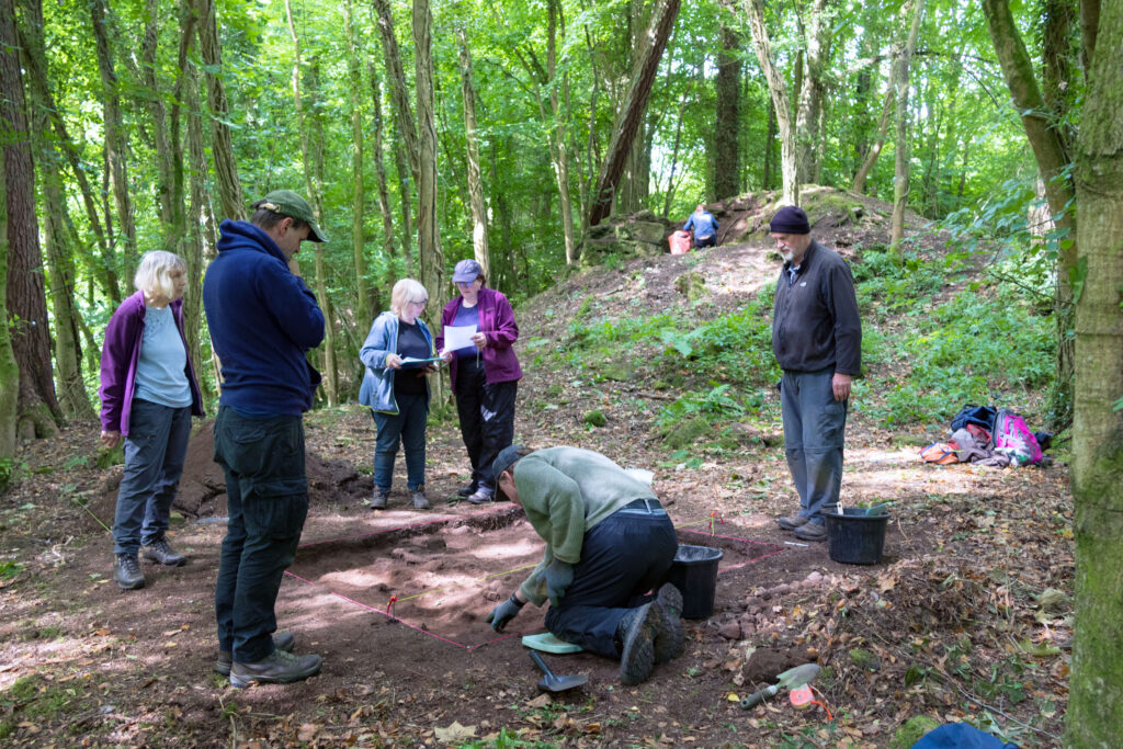 A group of people excavating in a wooded area.